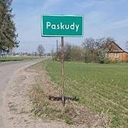 Zdjęcie