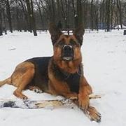Zdjęcie