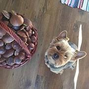 Zdjęcie