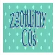 Zdjęcie