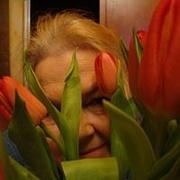 Zdjęcie