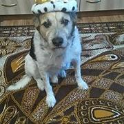 Zdjęcie