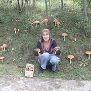 Zdjęcie