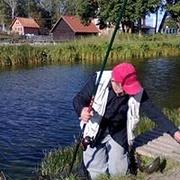 Zdjęcie
