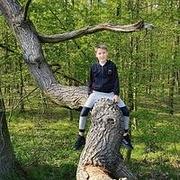 Zdjęcie