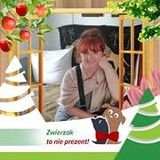 Zdjęcie