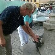 Zdjęcie