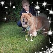 Zdjęcie