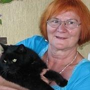 Zdjęcie