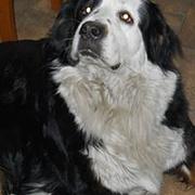 Zdjęcie