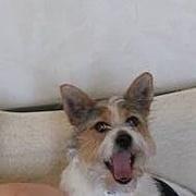 Zdjęcie