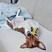 Zdjęcie