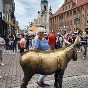 Zdjęcie