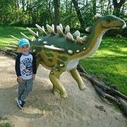 Zdjęcie