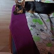 Zdjęcie