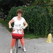 Zdjęcie