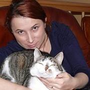 Zdjęcie