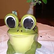 Zdjęcie