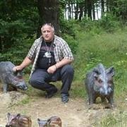 Zdjęcie