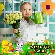 Zdjęcie