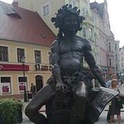 Zdjęcie