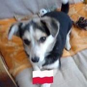 Zdjęcie