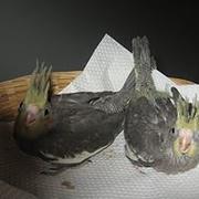Zdjęcie
