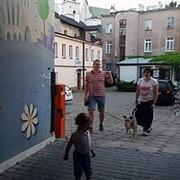 Zdjęcie