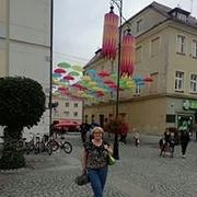 Zdjęcie