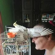 Zdjęcie