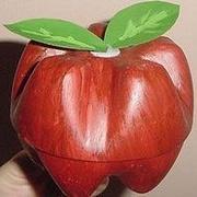 Zdjęcie