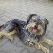 Zdjęcie