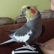 Zdjęcie