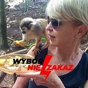 Zdjęcie