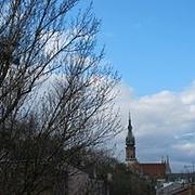 Zdjęcie