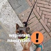 Zdjęcie