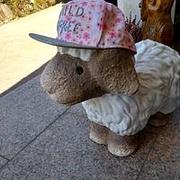 Zdjęcie
