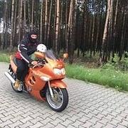 Zdjęcie