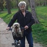 Zdjęcie