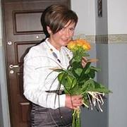 Zdjęcie