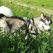 Zdjęcie