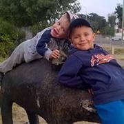 Zdjęcie