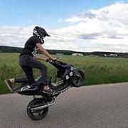 Zdjęcie