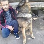 Zdjęcie