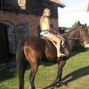 Zdjęcie