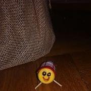 Zdjęcie