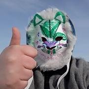 Zdjęcie