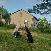 Zdjęcie