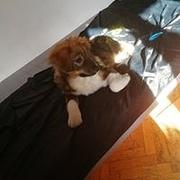 Zdjęcie