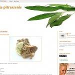 Moje pitraszenie